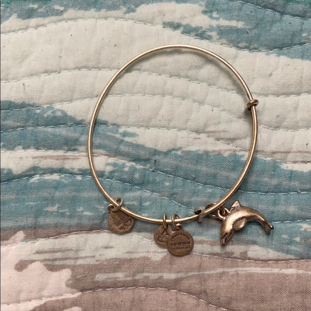 Alex and ani silver dolphin bracelet